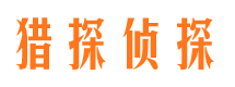 嘉定市场调查